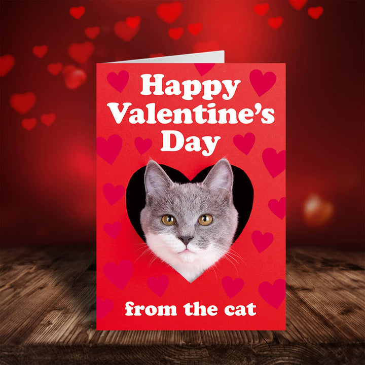 Happy Valentine's Day from the Cat Greeting Card