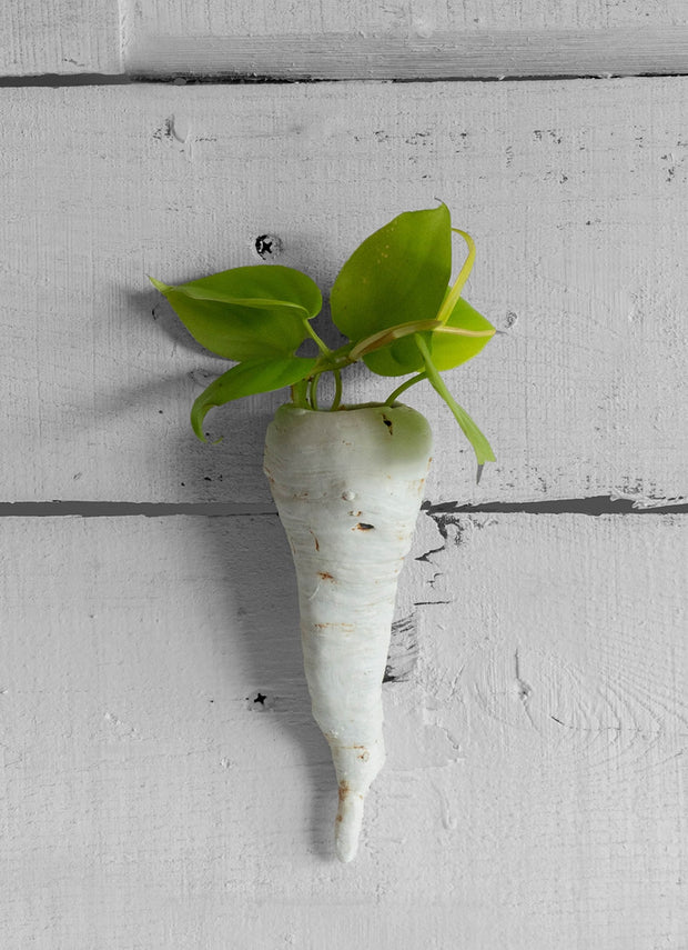 Parsnip Wall Planter