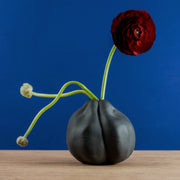 Black Heirloom Tomato Flower Vase