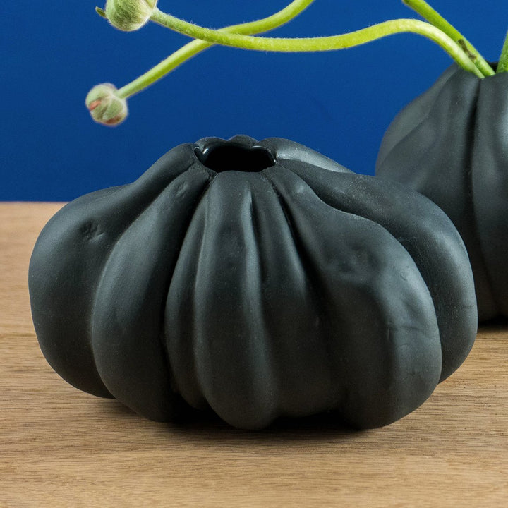 Black Heirloom Tomato Flower Vase