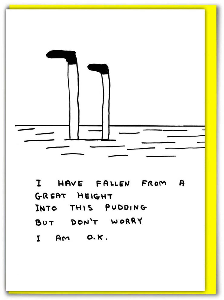 David Shrigley Card Pudding Funny