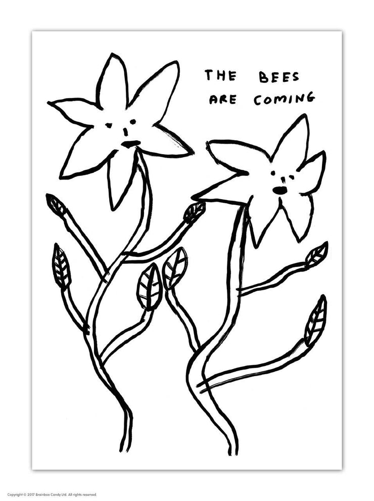 David Shrigley Postcard The Bees Are Coming