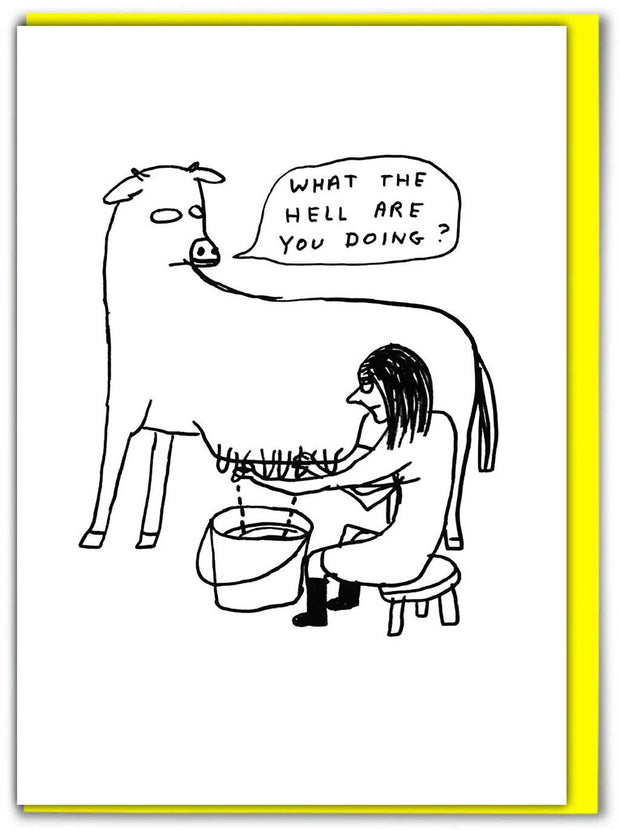 David Shrigley Card What The Hell Funny