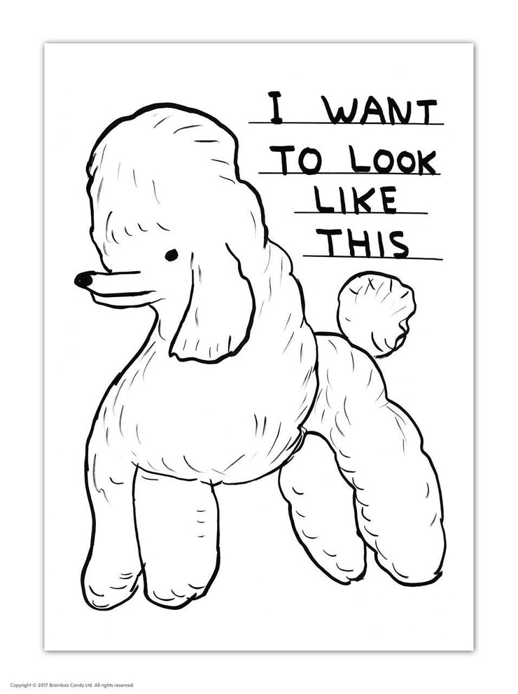 David Shrigley Postcard Want To Look Like This
