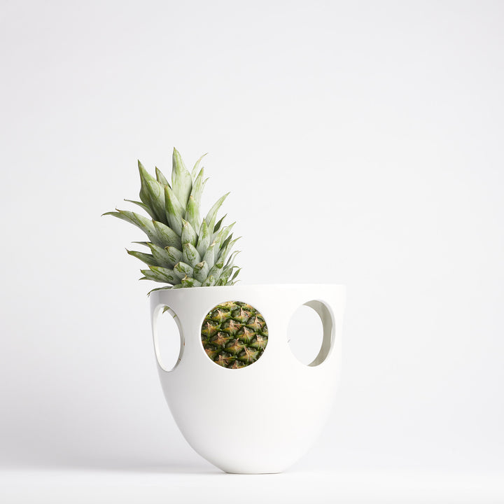 Chalet Bee Bowl in White