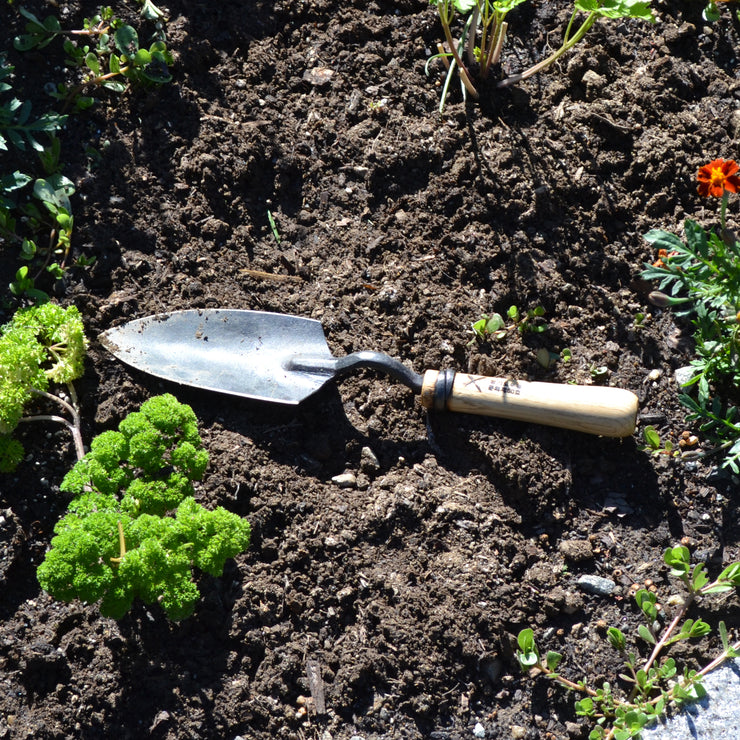 Hand Trowel