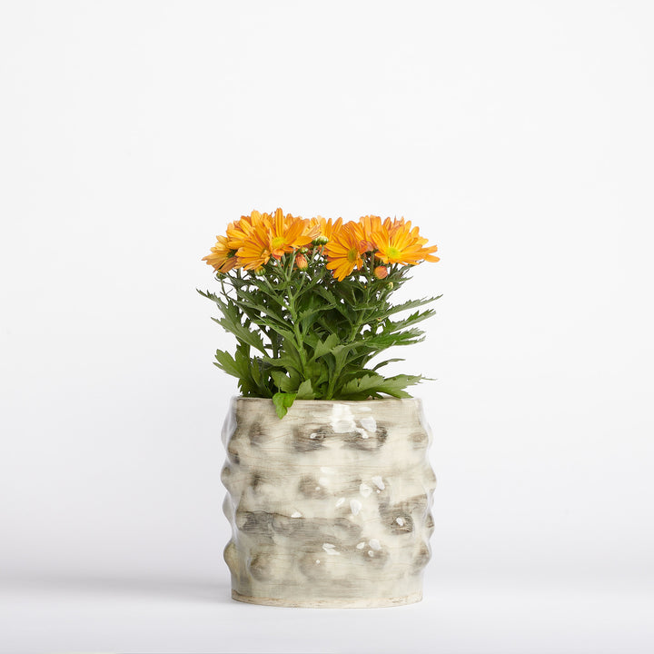 White Stoneware Bubble Planter w/ Grey Glaze