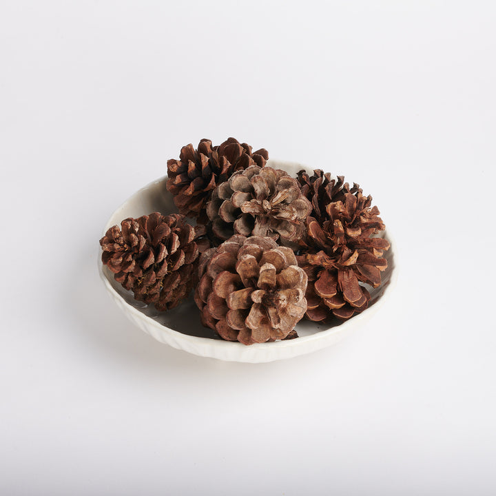 White Stoneware Large Footed Bowl