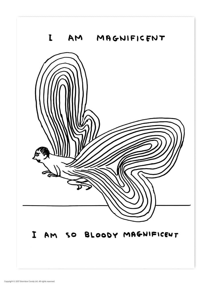 David Shrigley Postcard I Am Magnificent