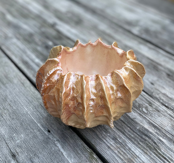 Pearlescent Shell Bowl
