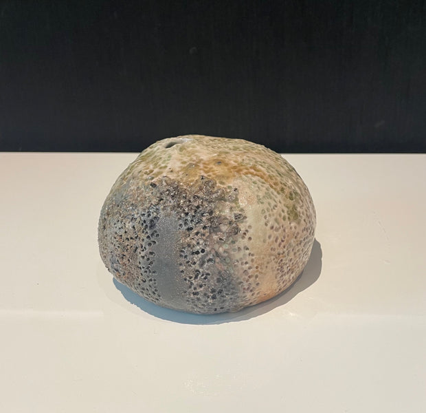 Coral Ball